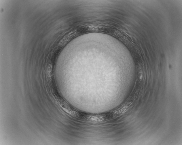 X0000057580275200510171715