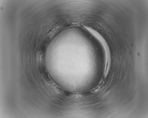 X0000057580276200510171715