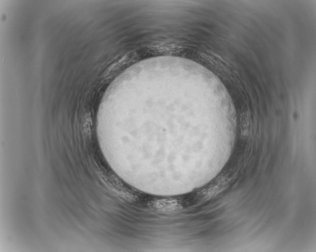 X0000057580279200510171715