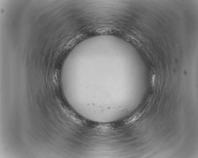 X0000057580280200510171715