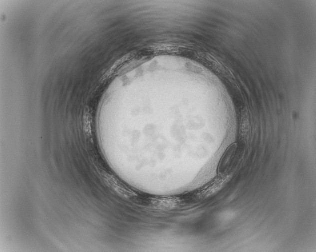 X0000057580282200510171715