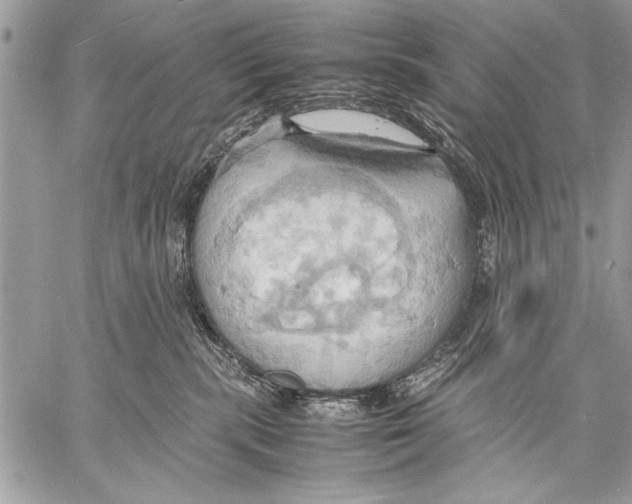 X0000057580283200510171715