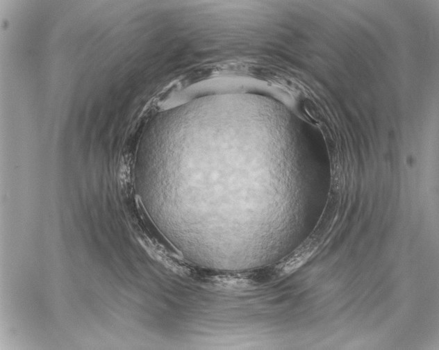 X0000057580284200510171715