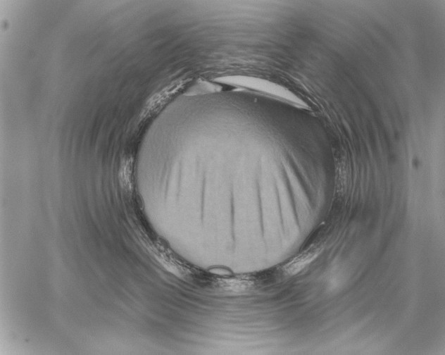 X0000057580286200510171715