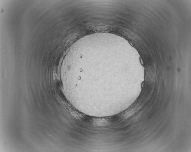 X0000057580287200510171715