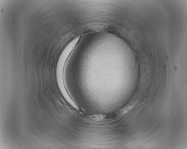 X0000057580288200510171715