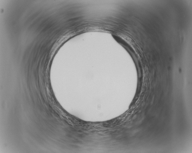 X0000057580289200510171715