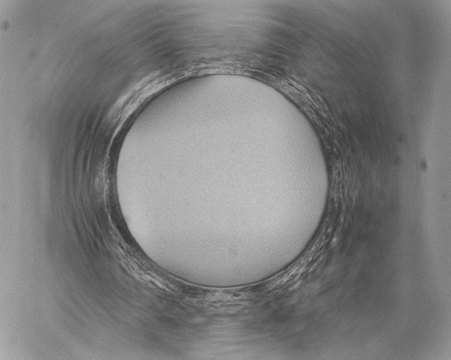 X0000057580290200510171715