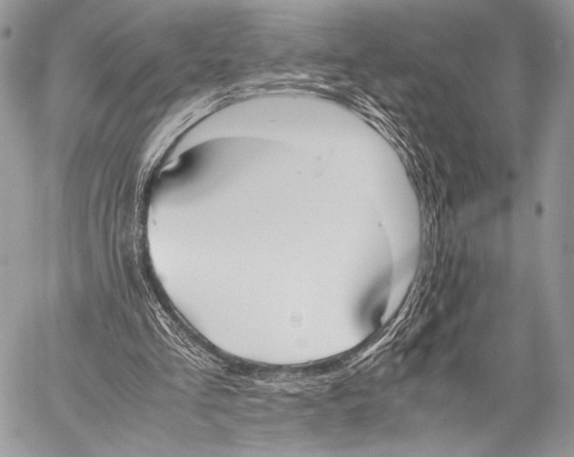 X0000057580293200510171715