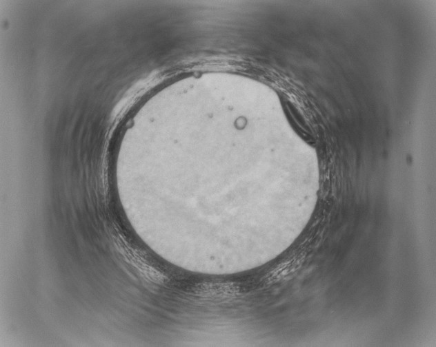 X0000057580296200510171714