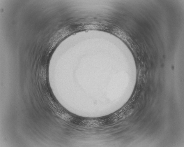 X0000057580297200510171714