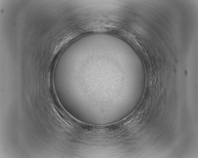 X0000057580299200510171714