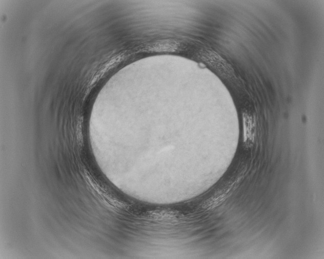 X0000057580300200510171714