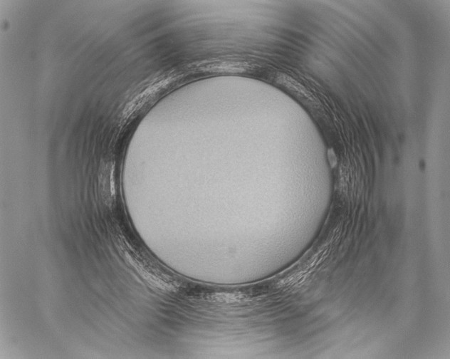 X0000057580302200510171714