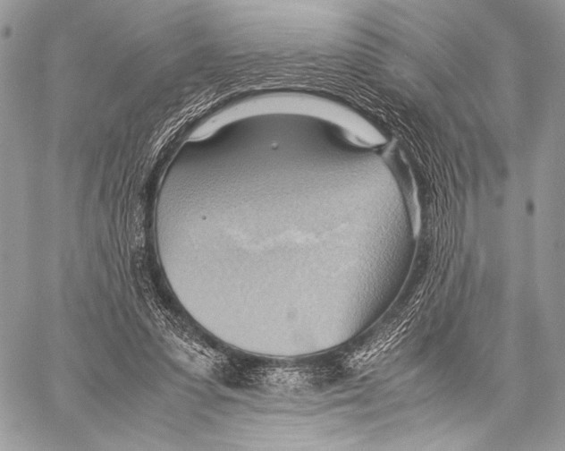 X0000057580303200510171714