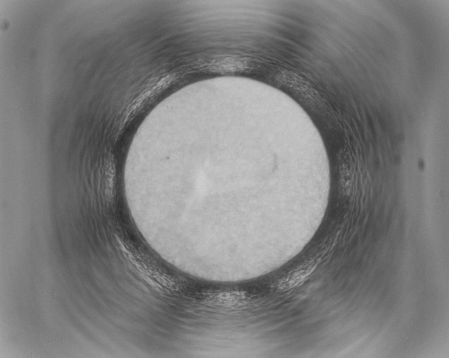 X0000057580304200510171714