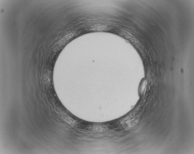 X0000057580305200510171714