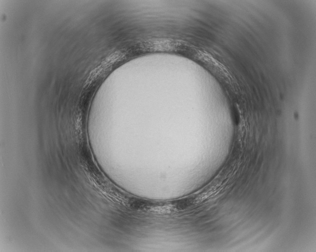 X0000057580306200510171714