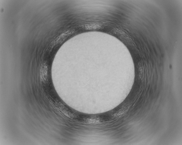 X0000057580308200510171714