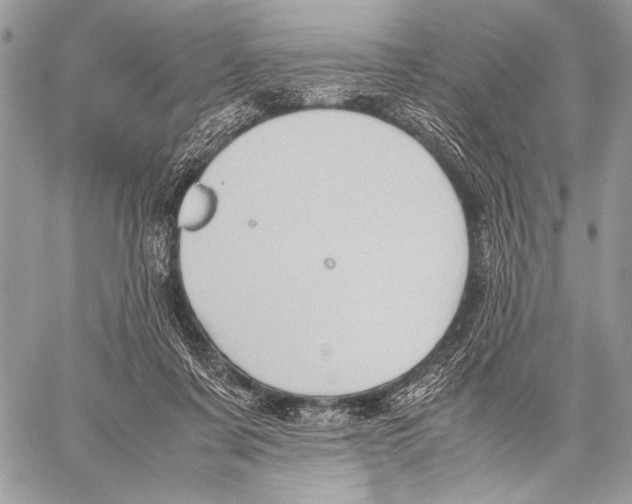 X0000057580311200510171714