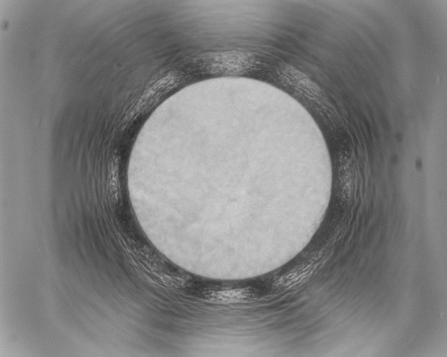 X0000057580312200510171714