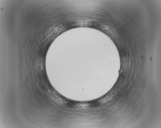 X0000057580313200510171714