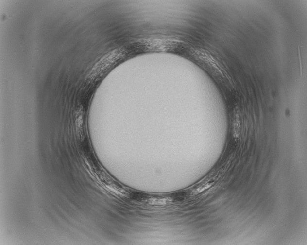 X0000057580314200510171714