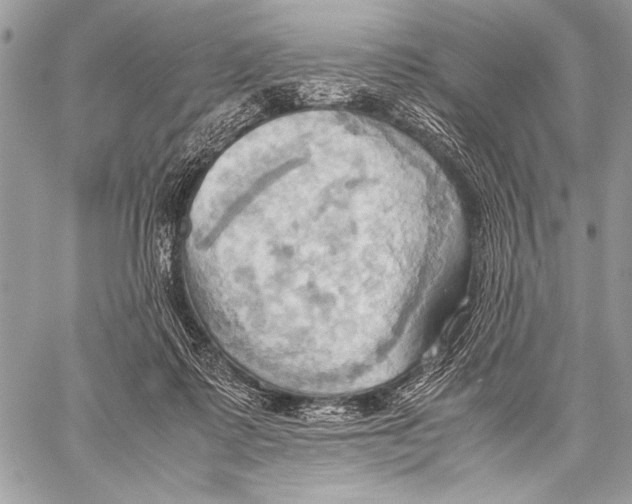 X0000057580315200510171714