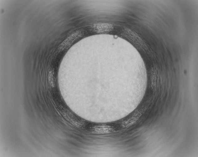 X0000057580316200510171714