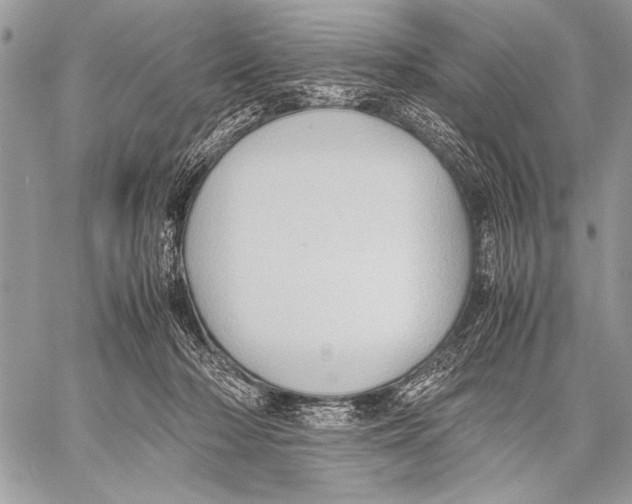 X0000057580318200510171714