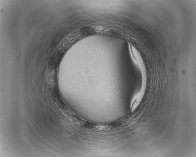 X0000057580319200510171714