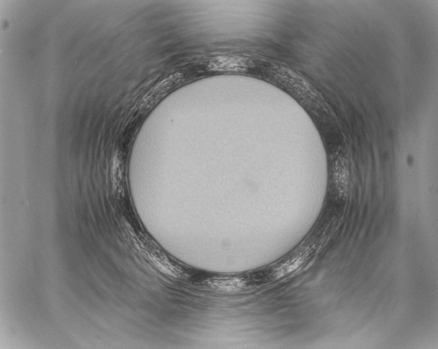 X0000057580322200510171714