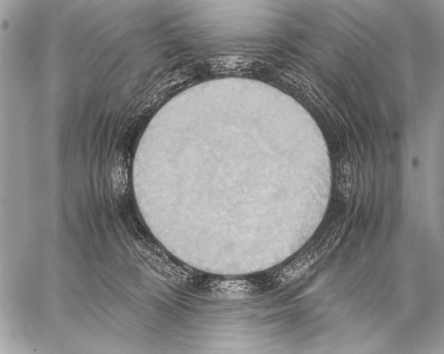 X0000057580324200510171714