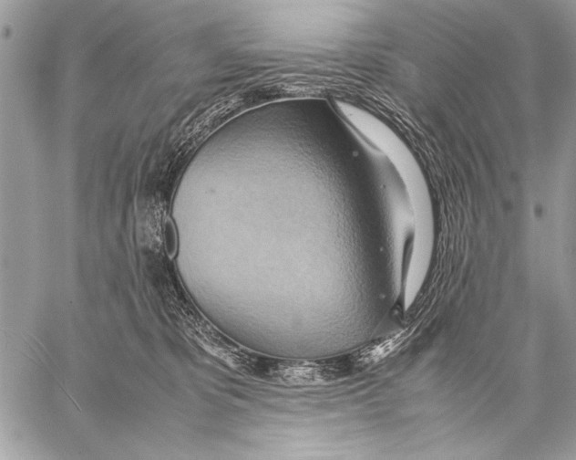 X0000057580325200510171714