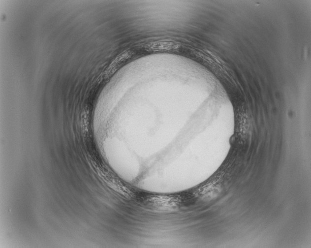 X0000057580326200510171714