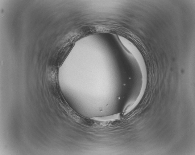 X0000057580329200510171714