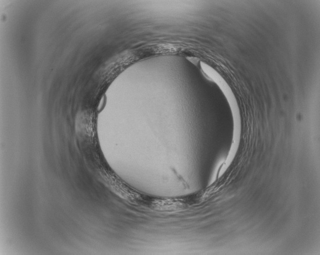 X0000057580331200510171714