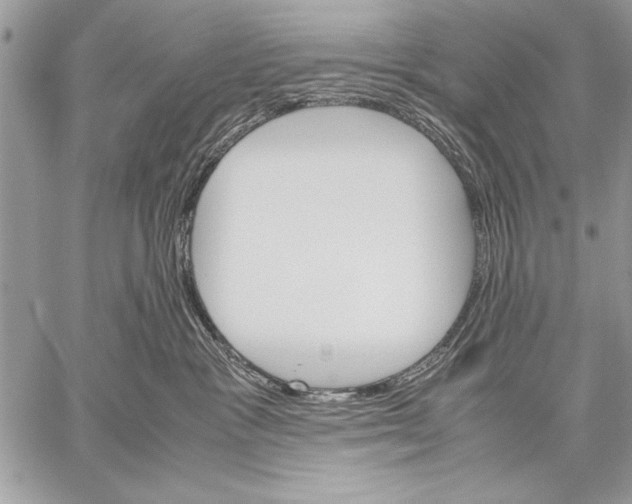 X0000057580333200510171714