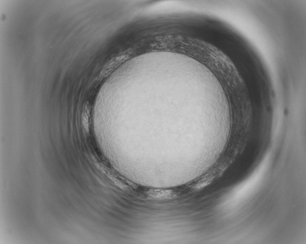 X0000057580334200510171714