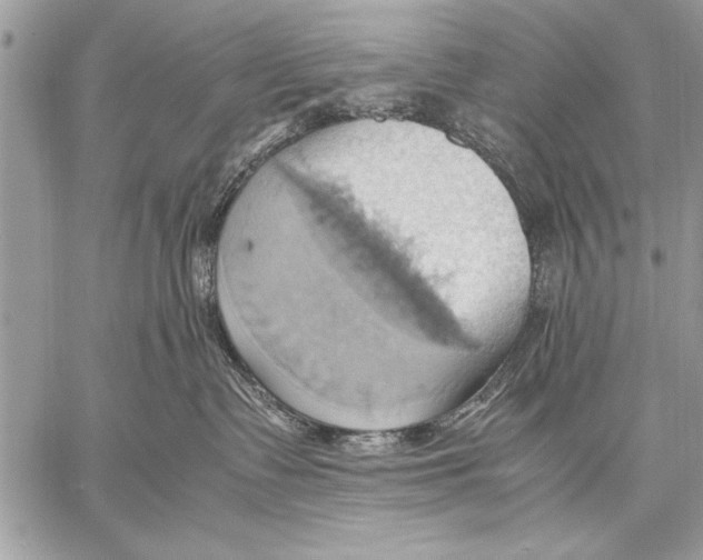 X0000057580335200510171714