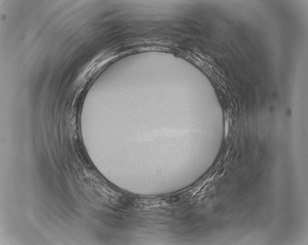 X0000057580339200510171713