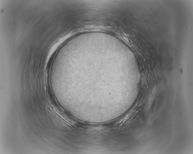 X0000057580342200510171713