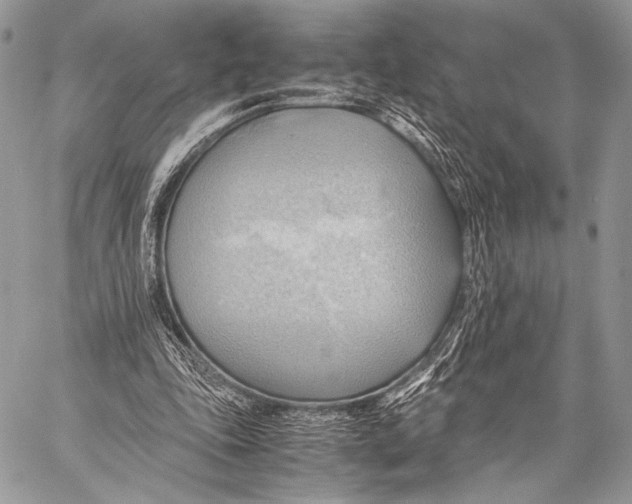 X0000057580343200510171713