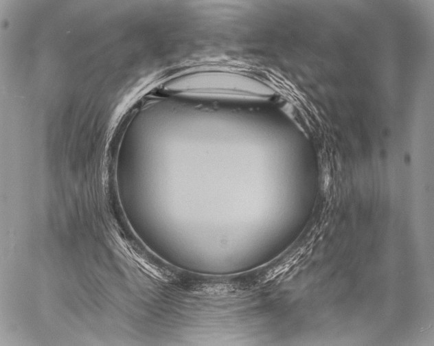 X0000057580344200510171713