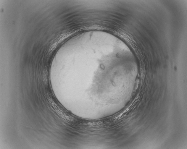 X0000057580345200510171713