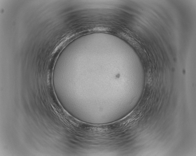 X0000057580347200510171713