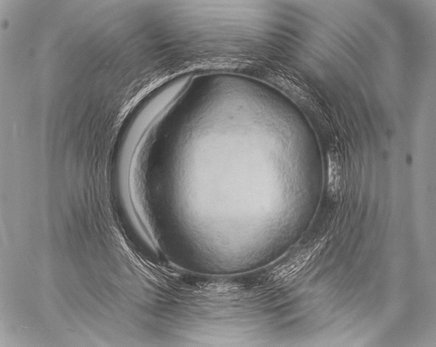 X0000057580348200510171713