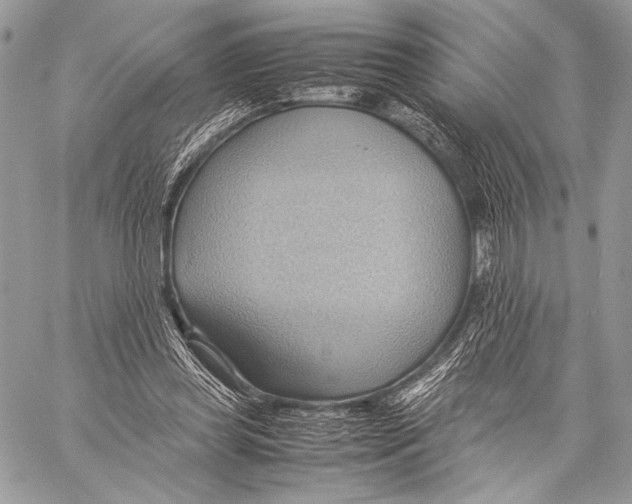 X0000057580349200510171713