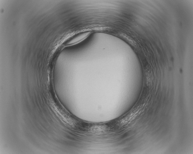 X0000057580350200510171713