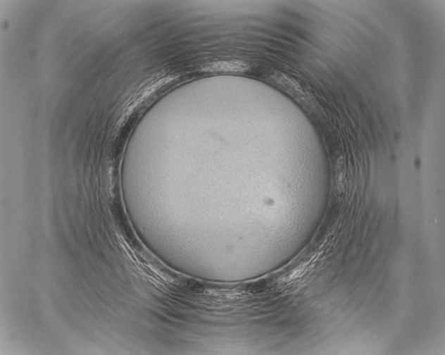 X0000057580351200510171713